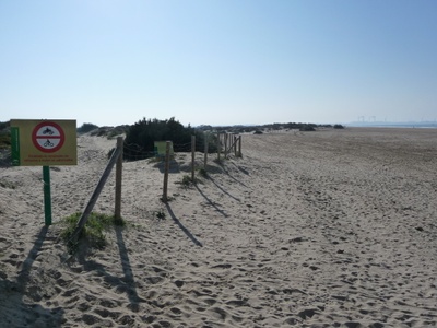 Playa de Levante (El Puerto de Santa María)
