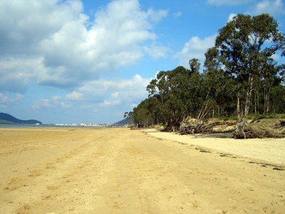 Playa del Regatón
