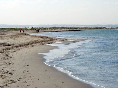 Playa Punta de Algas (San Pedro del Pinatar)